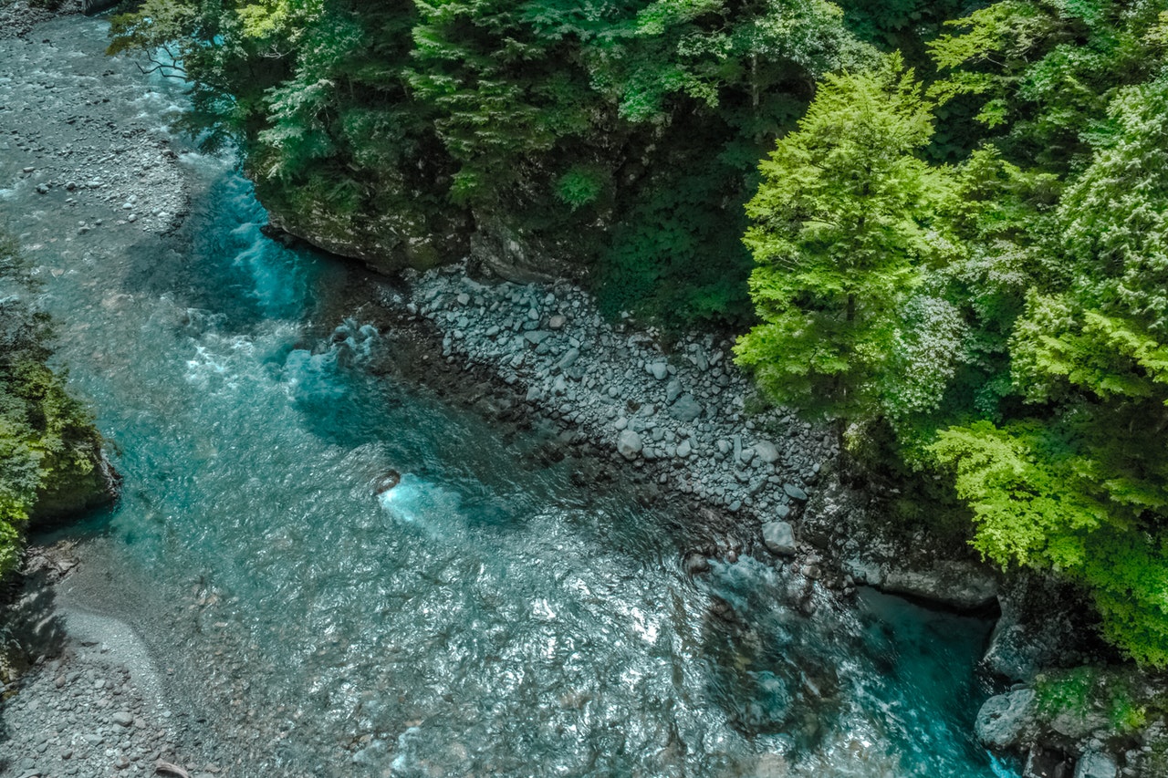 Artvin’de ağaçları kesip suyu satacaklar