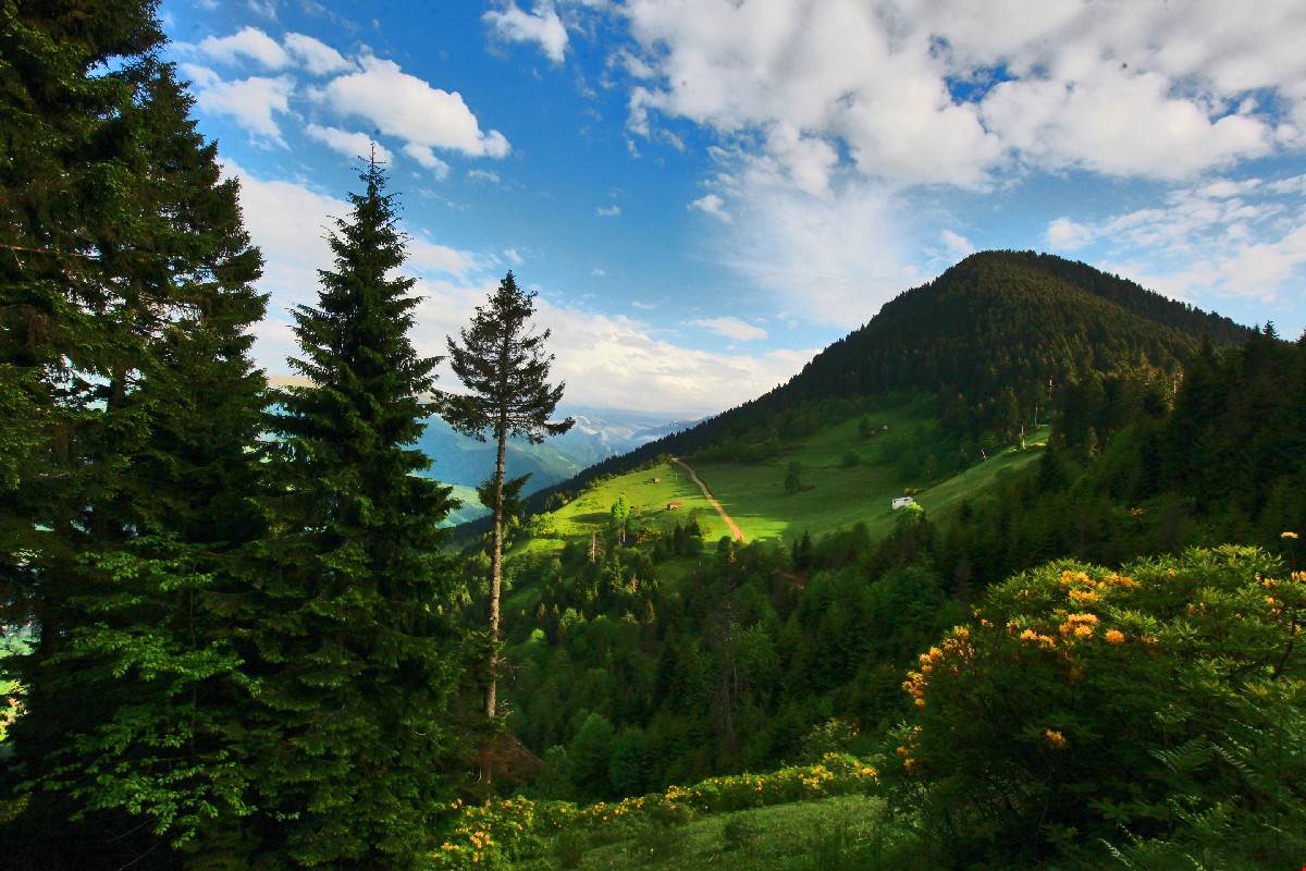 Karadeniz yaylaları imara açılıyor