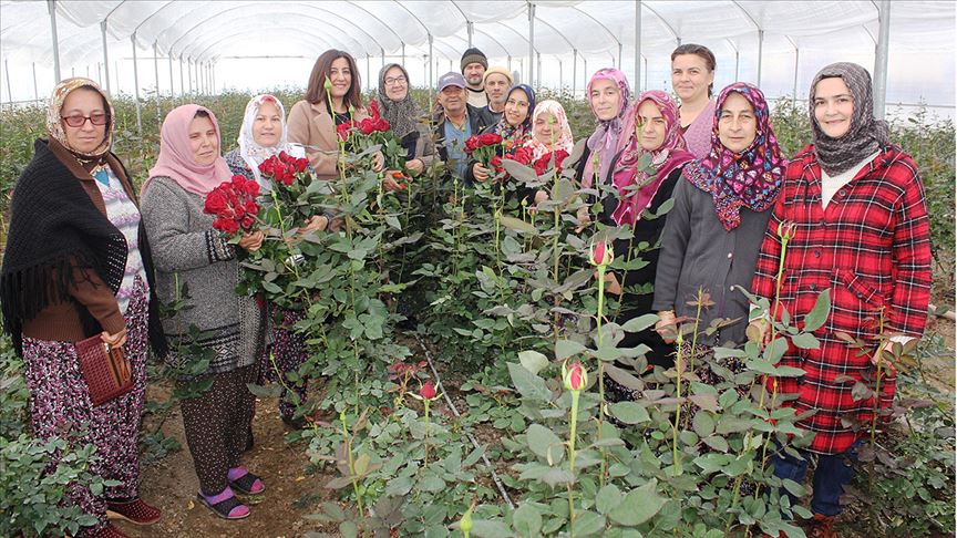 Burası da gül kokulu köy