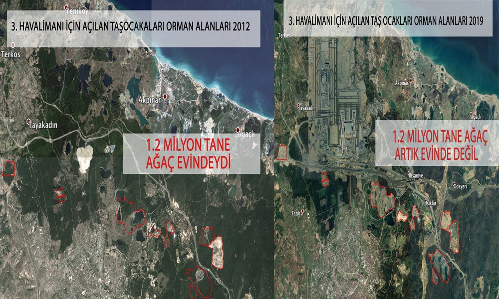 İstanbul Havalimanı için 13 milyon ağaç kesildi