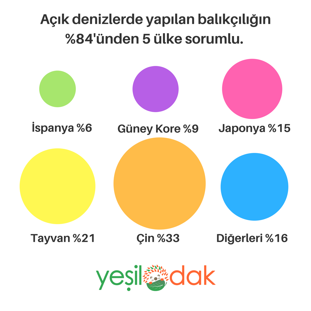 Açık denizlerde yapılan balıkçılığın %84’ünden 5 ülke sorumlu 