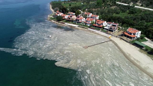 Deniz salyası nedenleri ve çözüm önerileri