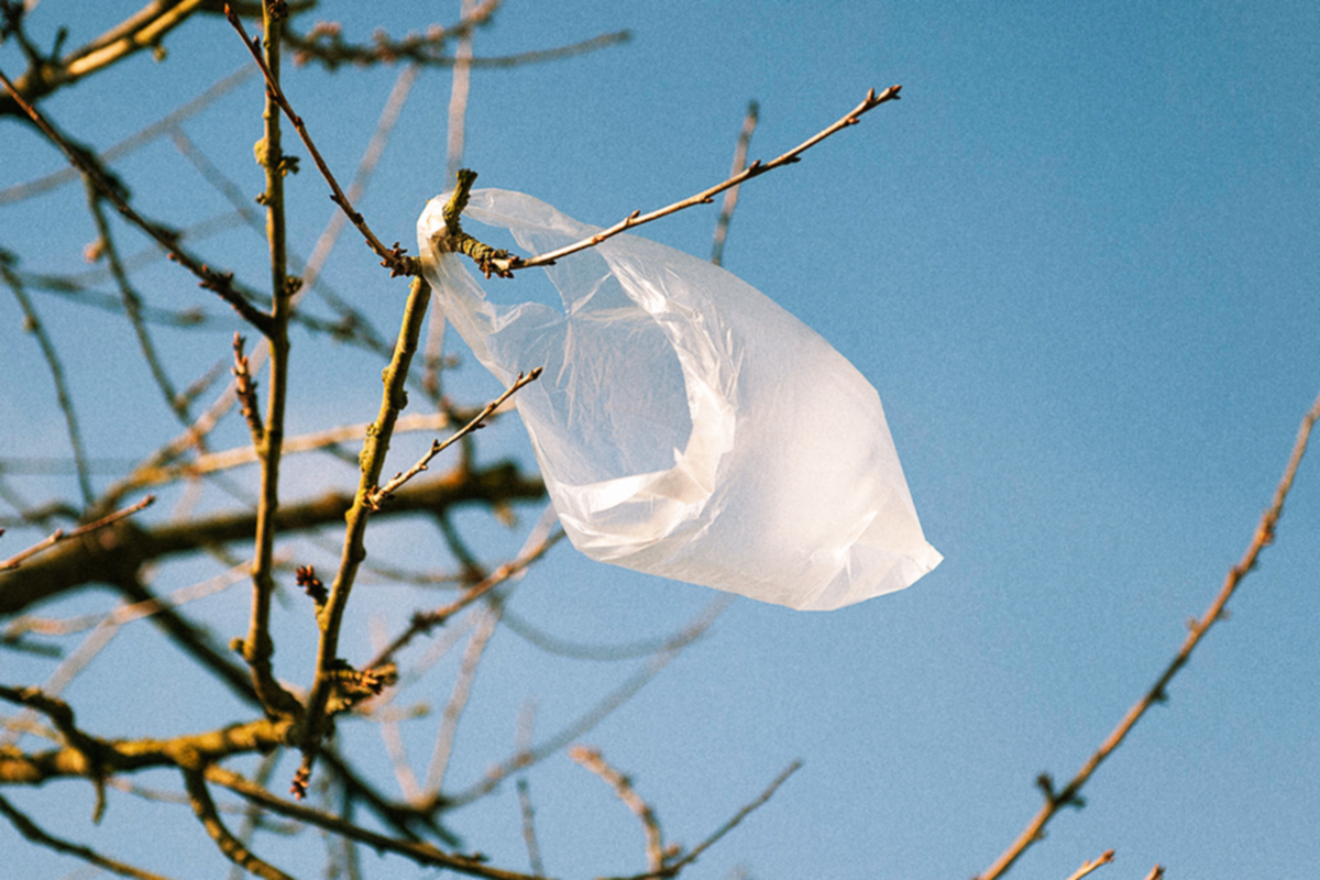 Plastiği hayatımızdan çıkarmanın 7 basit yolu