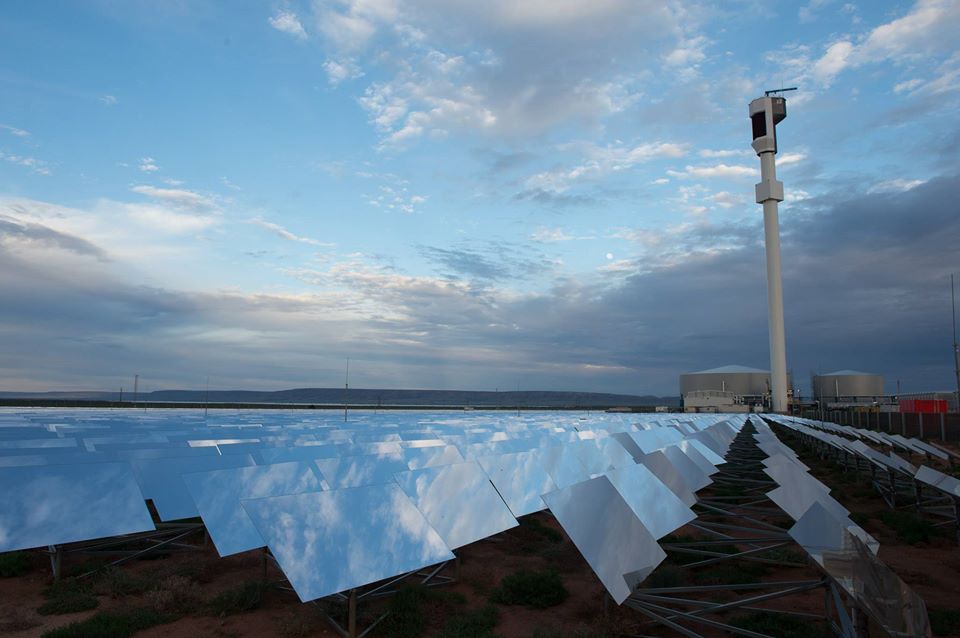 Domates çiftliği enerjisini güneşten suyunu denizden alıyor