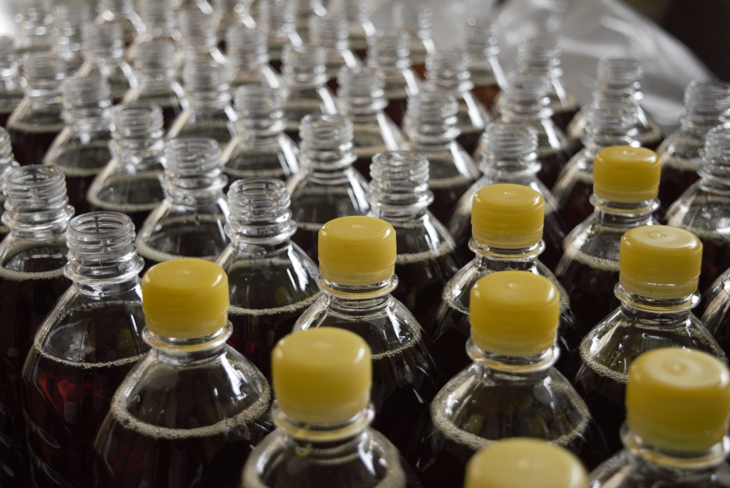 Plastik şişeleri yiyen enzim yaratıldı