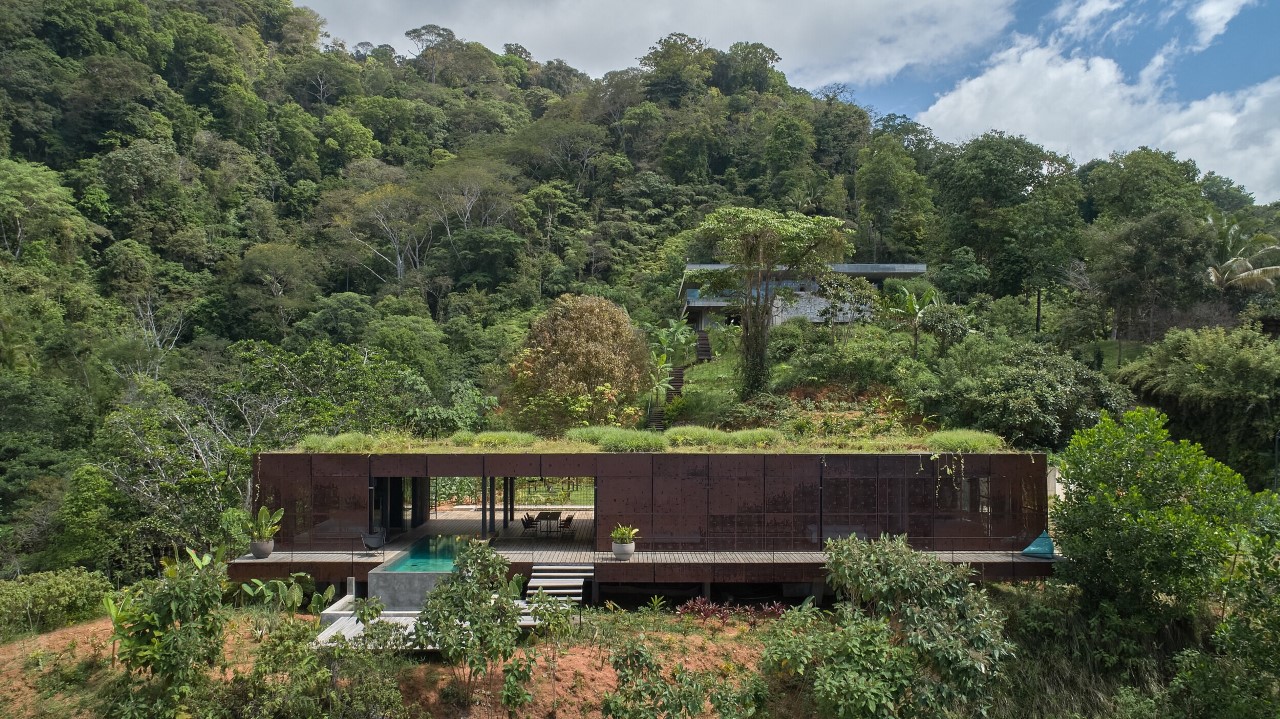 Yeşil çatılı villa orman manzarasına karışıyor