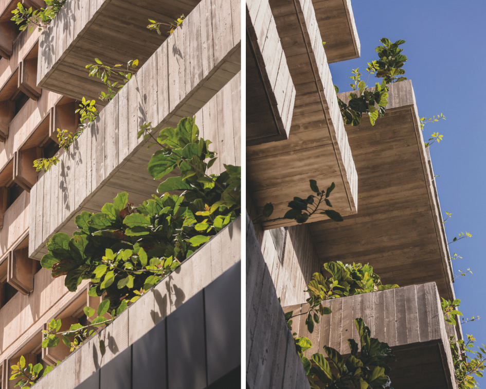 Yeşil apartman teras bahçeleriyle doğayla bağlantı kuruyor