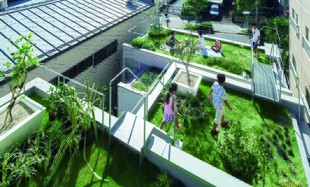 Biyofilik evin çatısı park gibi tasarlandı