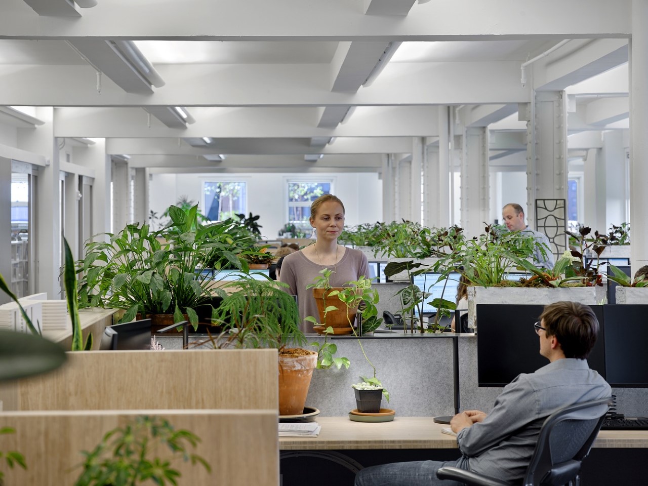 Biyofilik ofis sağlık, verimlilik ve doğaya bağlantı için tasarlanmıştır