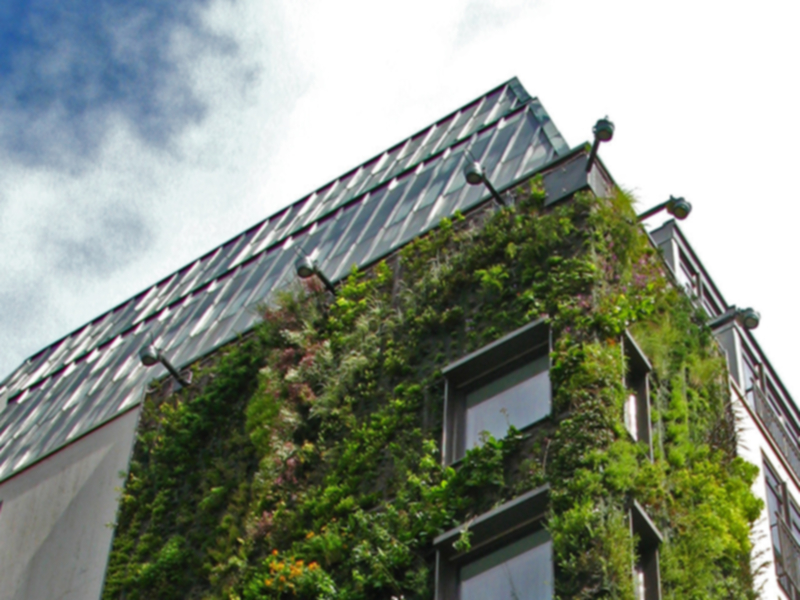 Binalar İle Yerleşmeler İçin Yeşil Sertifika Yönetmeliği