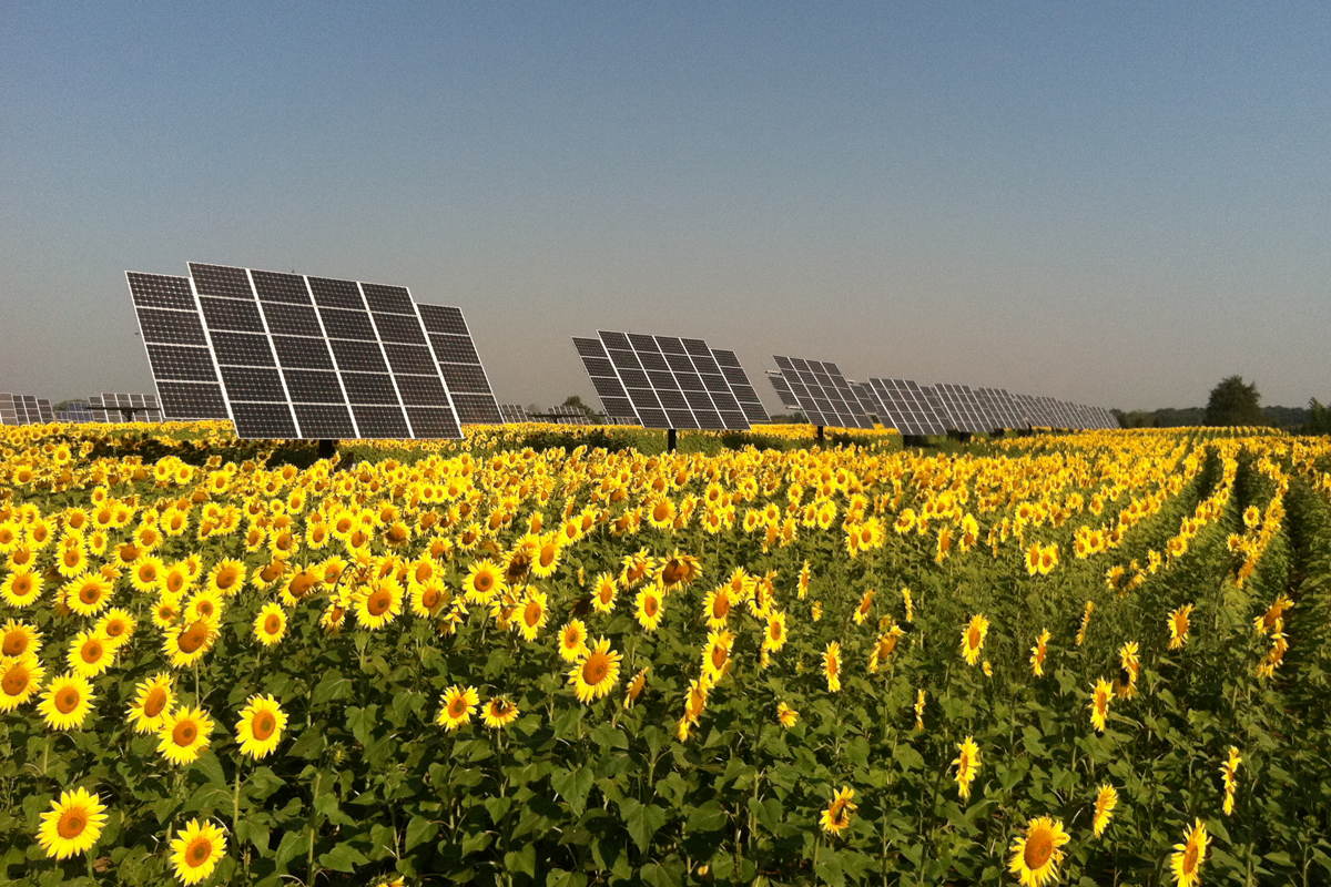 Güneş ekilen yeni nesil tarlalar; Güneş enerjisi santralleri