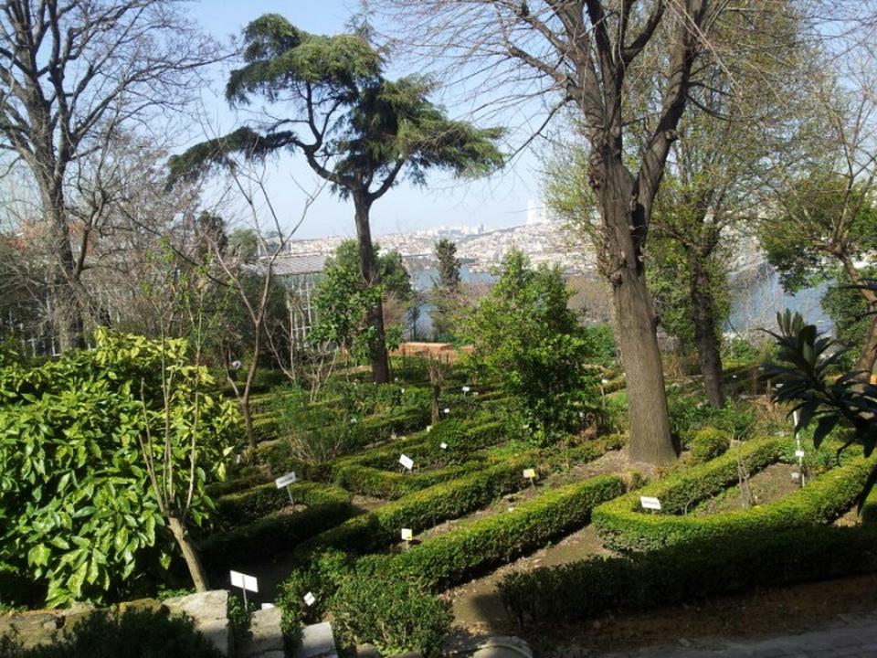 İstanbul’da Bir Botanik Bahçe