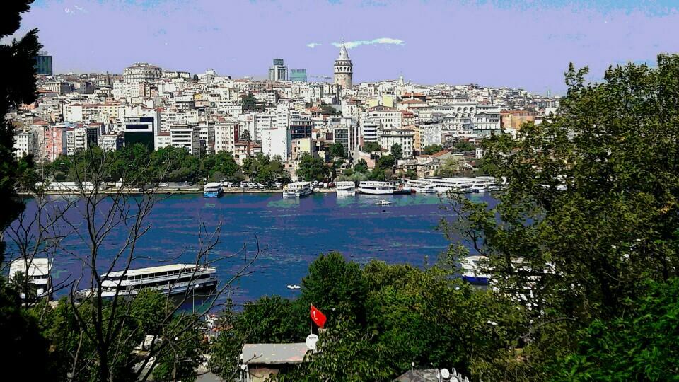 İstanbul’da Bir Botanik Bahçe