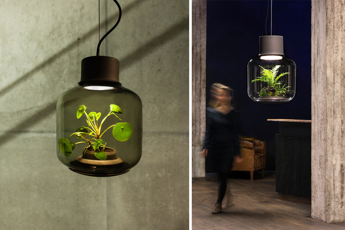 Az ışık alan iç mekanlarınızı Terrarium lambalar ile hem aydınlatın hem de yeşillendirin