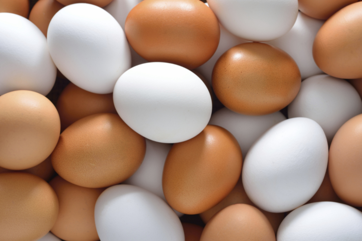 Kahverengi yumurta beyaz yumurtadan daha mı sağlıklı?