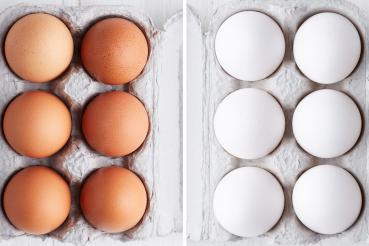 Kahverengi yumurta beyaz yumurtadan daha mı sağlıklı?
