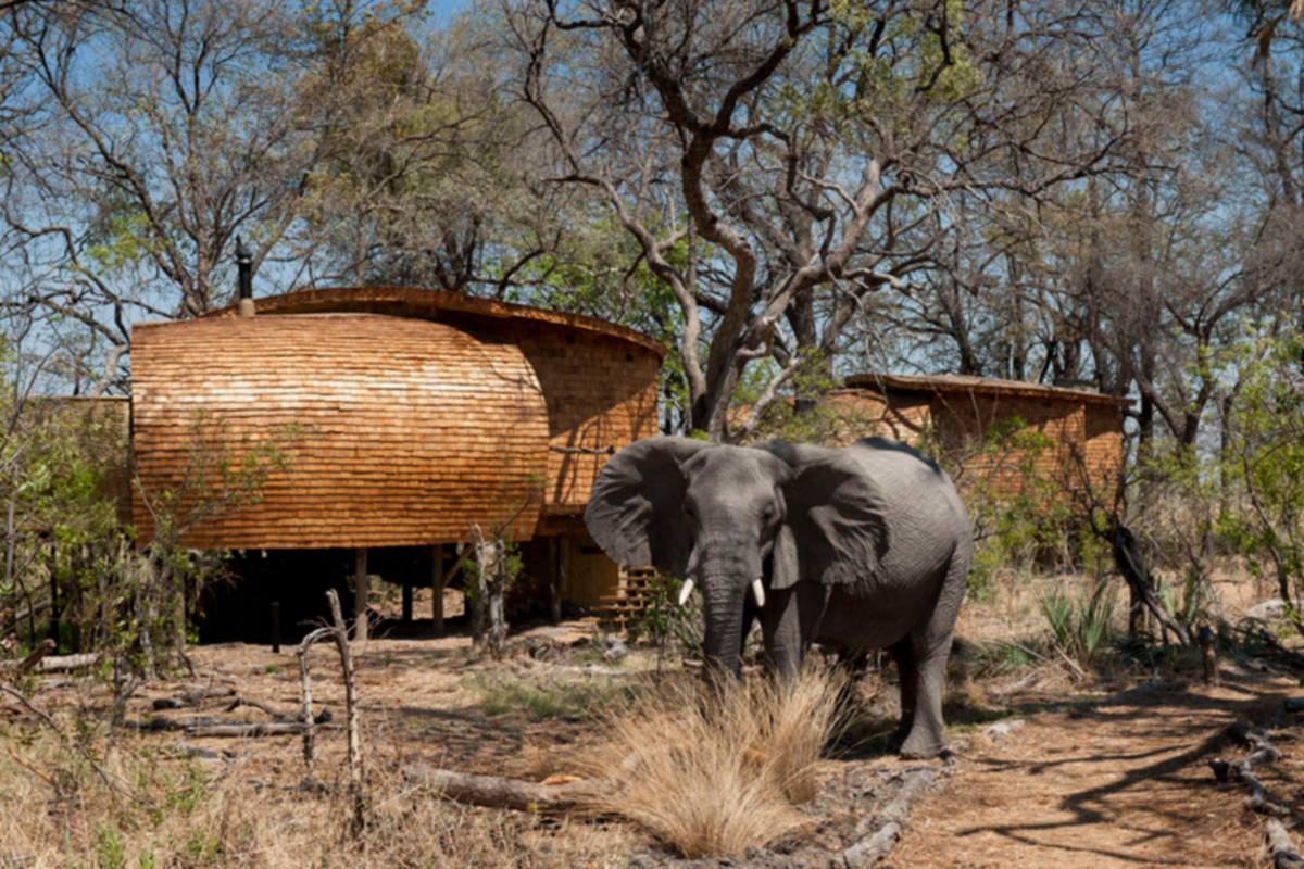 Sürdürülebilir Safari Oteli