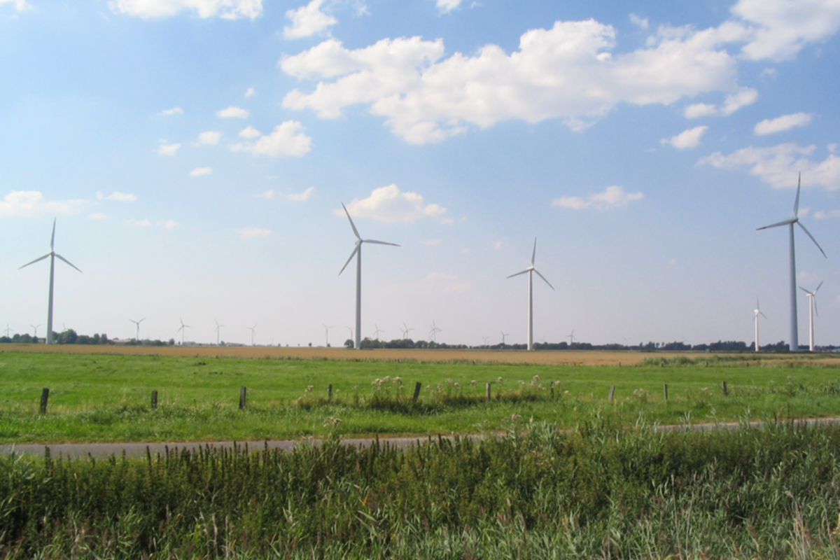 İki Alman eyaleti tüm elektriğini yenilenebilir kaynaklardan üretiyor