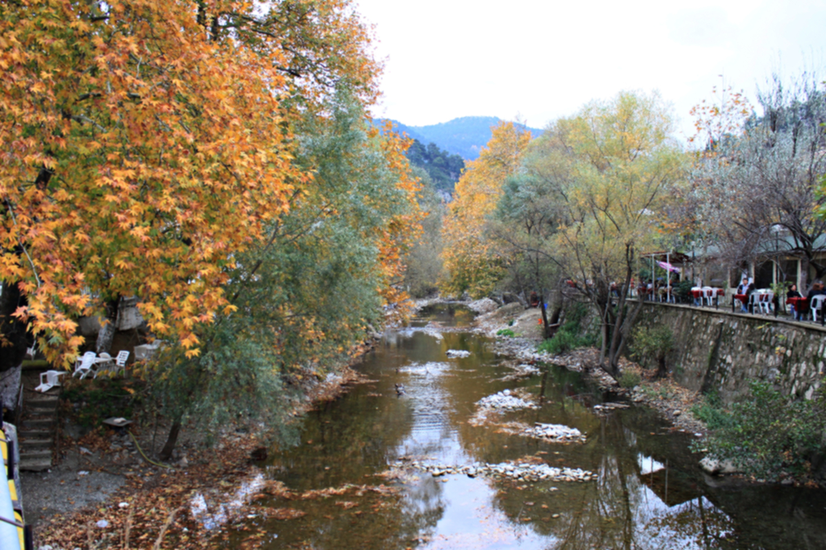 Cin Ipegi Degil 100 Misi Ipegi Gelecegi Yesil Tasarla Yesilodak Com