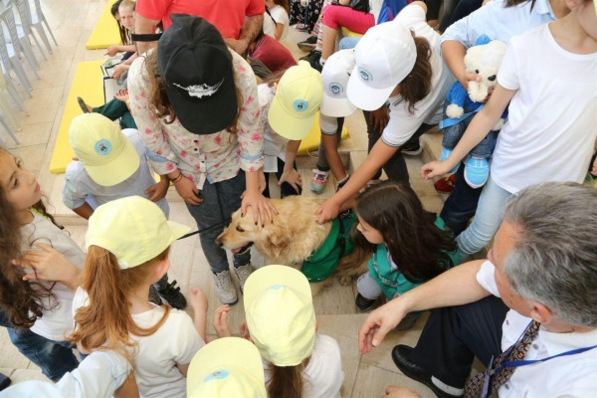 Odunpazarı’nın Çevreci Köpeği