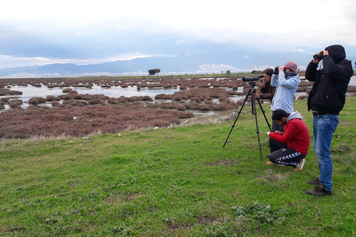 Gediz’de 7100 Flamingo Dünyaya Geldi