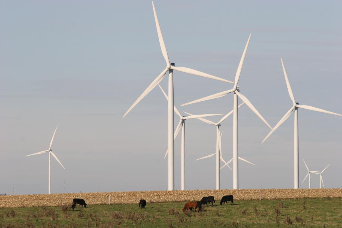 Geçen Seneki Rüzgar Enerjisi Yatırımlarına Genel Bakış
