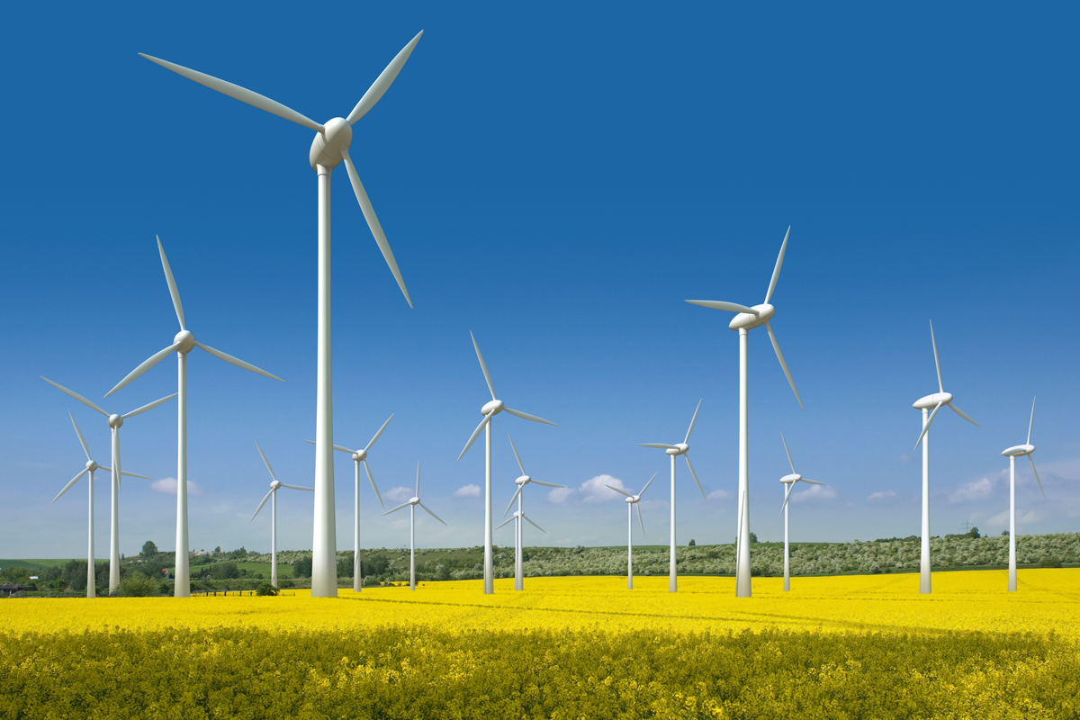 Rüzgarı yakala! Rüzgar enerjisinin avantajları ve dezavantajları