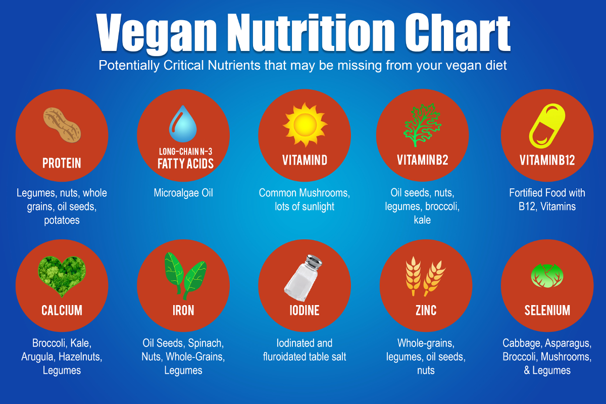 Vegan Beslenme Sağlığa Zararlı mı?