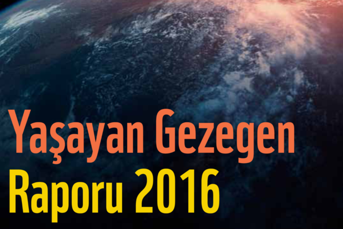 2020’ye kadar canlı popülasyonlarının 3’te 2’si yok olabilir!